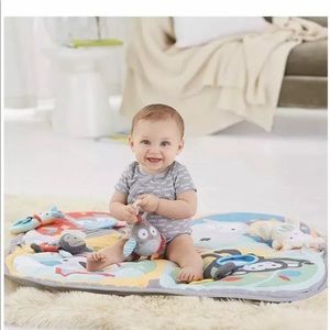 skip hop hug & hide activity gym